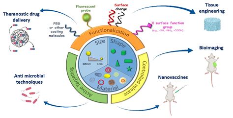 Nanomedicine for the Treatment of Autoimmune Diseases